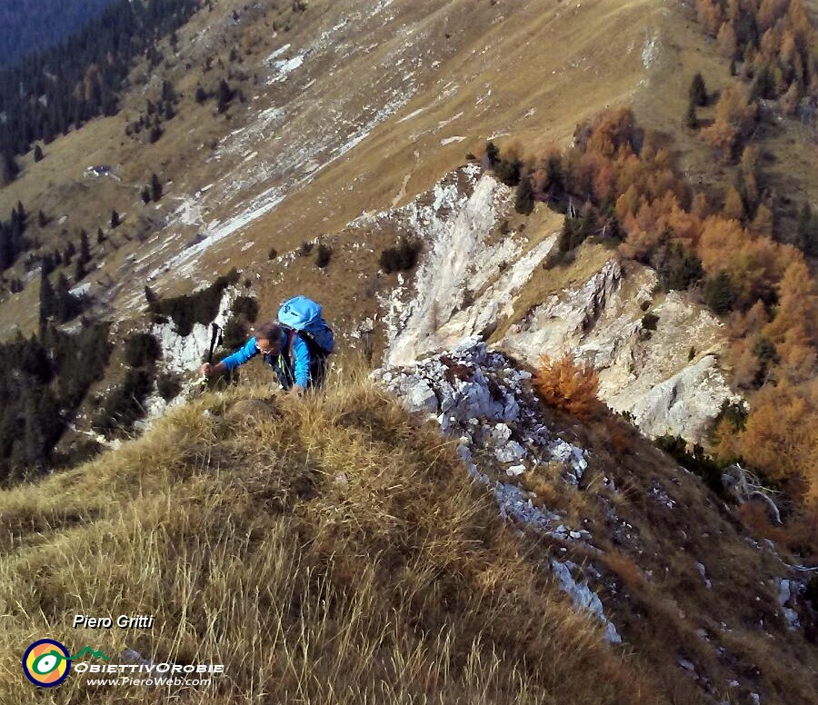 58 Saliamo per ripida traccia al Pizzo Badile.jpg